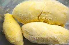 -18℃榴蓮水果冷凍庫建造,榴蓮速凍庫庫設(shè)計