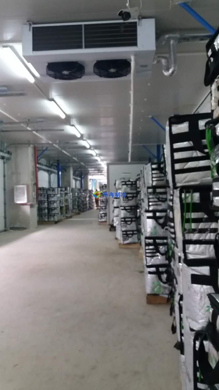 1300平方米的低溫冷庫設計,冰庫冷庫造價怎么算?