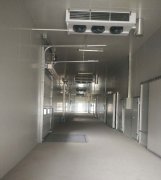 5000m3冷鏈物流工程建設,低溫物流倉庫安裝制冷設備投資預算