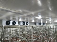 冷凍庫造價一平米價格怎么算?凍庫一立方的造價是多少錢