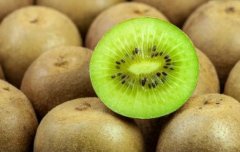 獼猴桃氣調保鮮冷庫造價，氣調庫哪家好